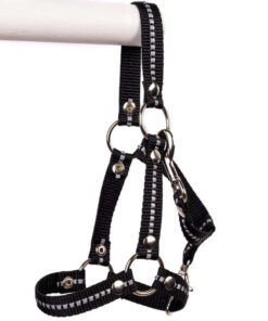 Licol Noir Taille L pour chevaux de loisir (par Humma)