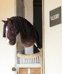 Hobbyhorse Valegro dans son box - zoomed