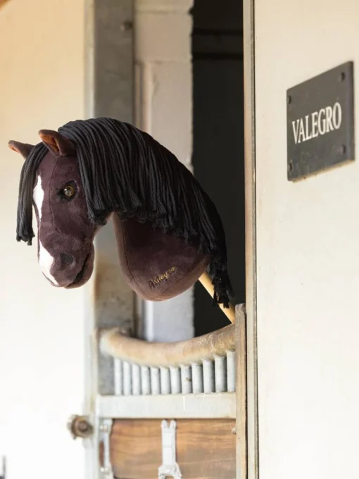 Hobbyhorse Valegro dans son box - zoomed