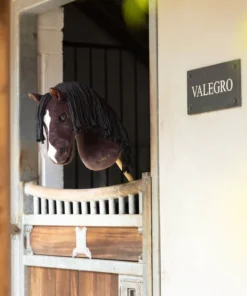 Hobbyhorse Valegro dans un box - plan large