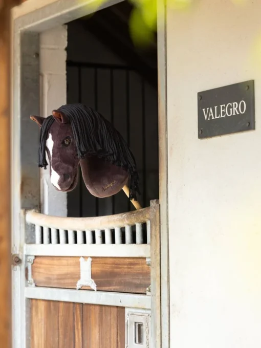 Hobbyhorse Valegro dans un box - plan large