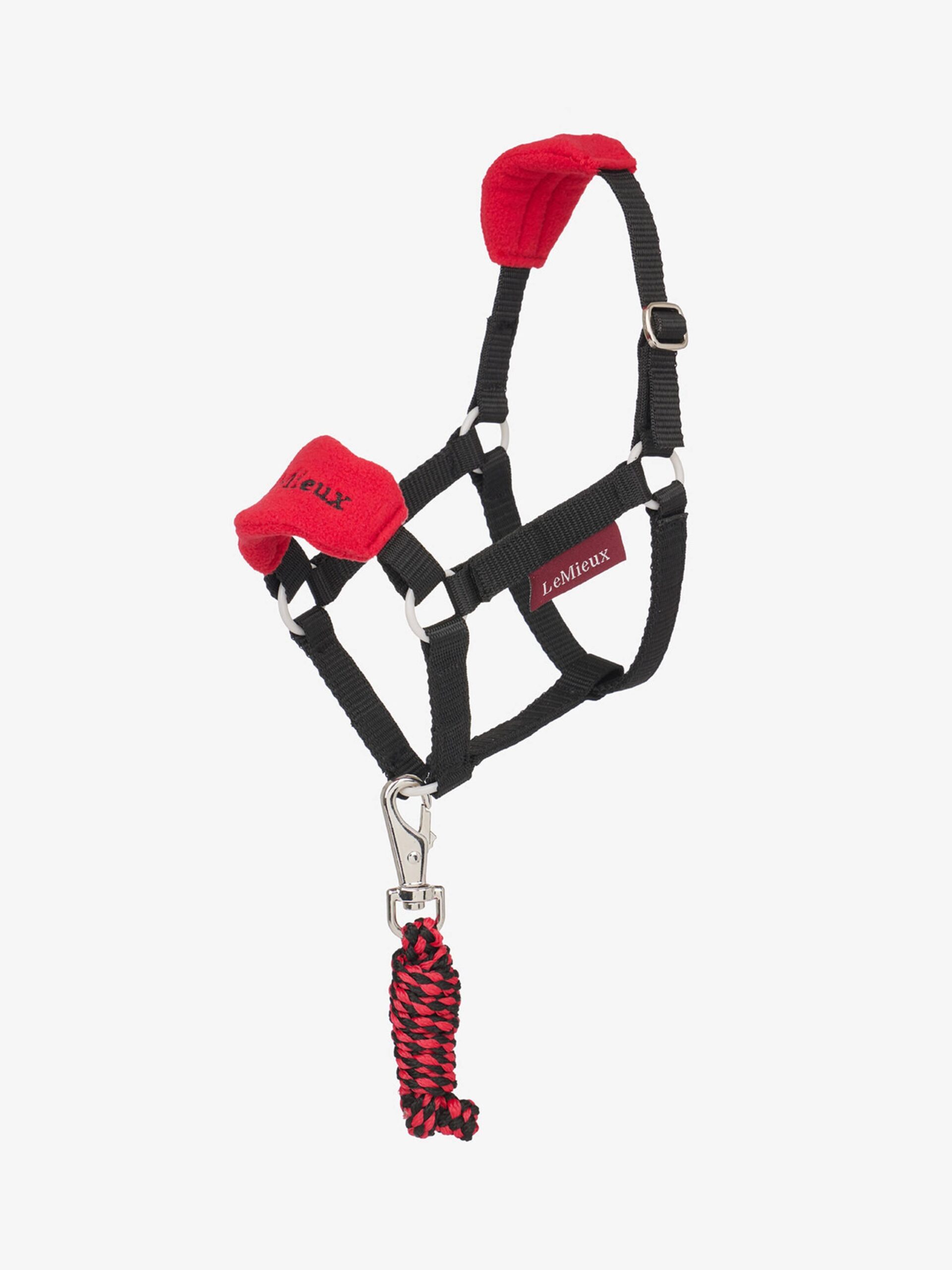 Licol et Longe Chilli par LeMieux