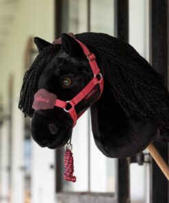 Licol et Longe Cranberry par LeMieux - Featured