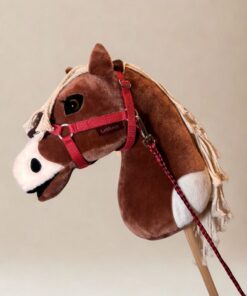 Licol et Longe Cranberry par LeMieux - Featured sur Flash