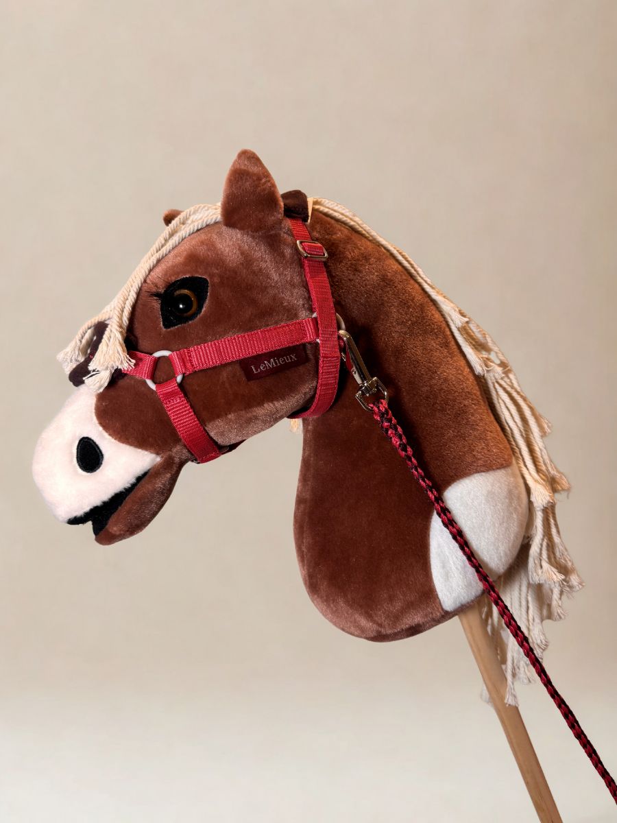 Licol et Longe Cranberry par LeMieux - Featured sur Flash