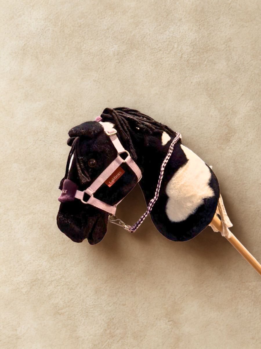 Licol et Longe Lilac par LeMieux - Featured sur Razzle