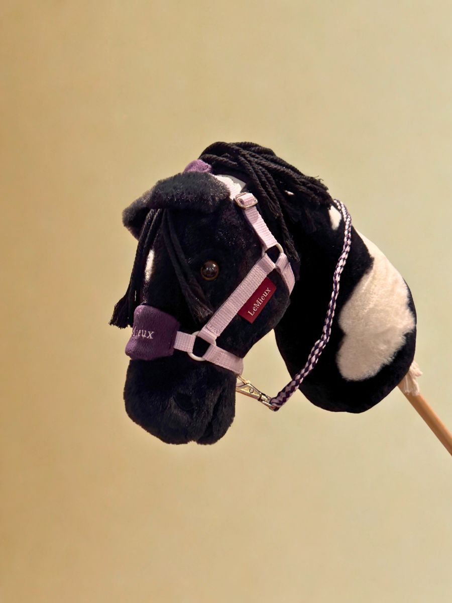 Licol et Longe Lilac par LeMieux - Featured sur Razzle 2