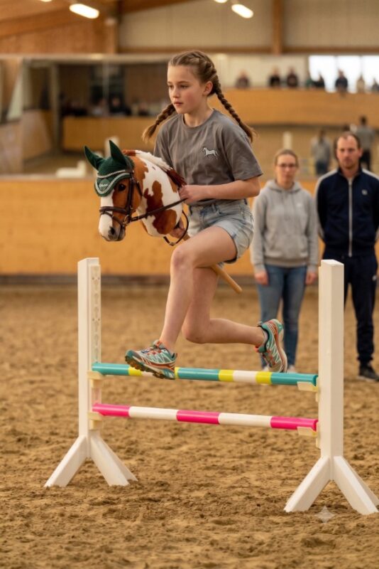 Hobbyhorse en manège