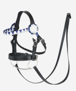 Bride de concours taille L pour chevaux bâton en cuir durable (par LeMieux)