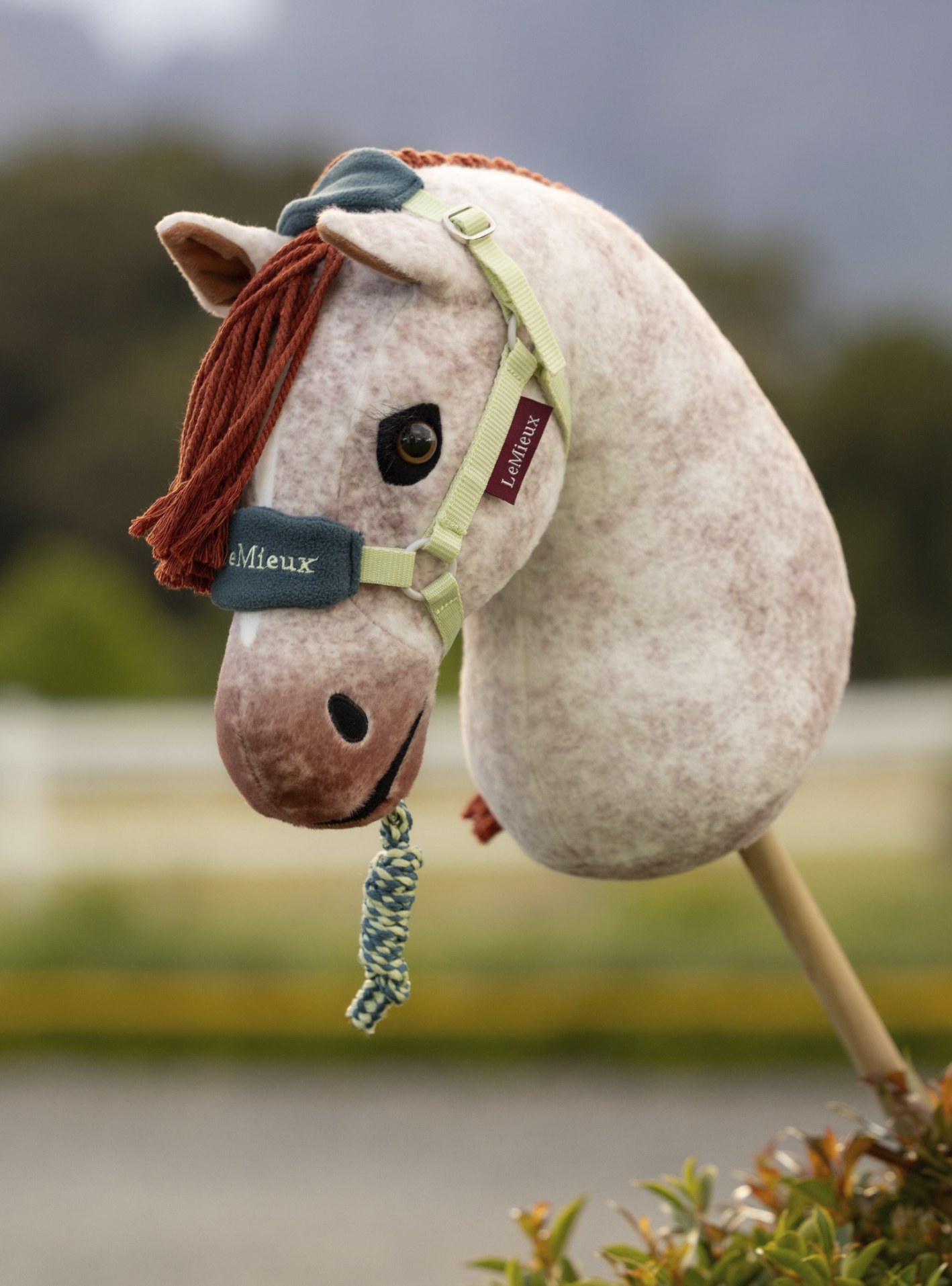 Longe et licol Vogue Hobbyhorse Macaron Taille L (par LeMieux) – Image 3